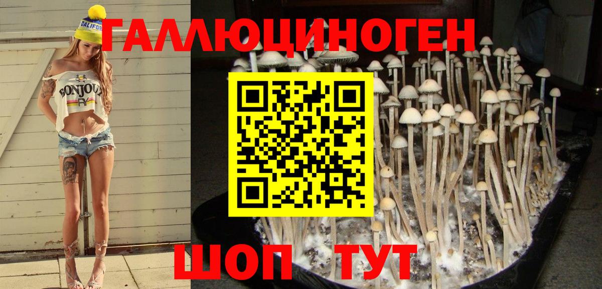 Псилоцибиновые грибы Magic Shrooms  Вход с VPN  закладки  Стерлитамак 