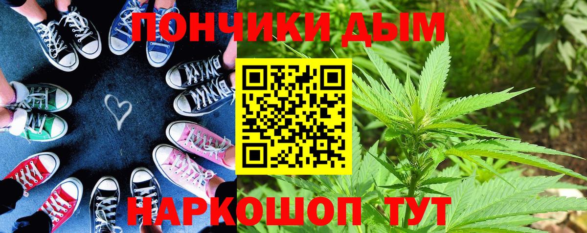 Конопля индика  Вход с VPN  Конопля Bruce Banner  Конопля Bruce Banner  Стерлитамак 